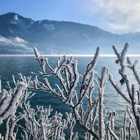 Zell By Alp Lux - In-out *