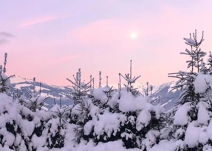 Zell By Alp Lux - In-out