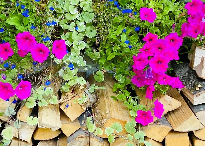 Zell By Alp Lux - In-out