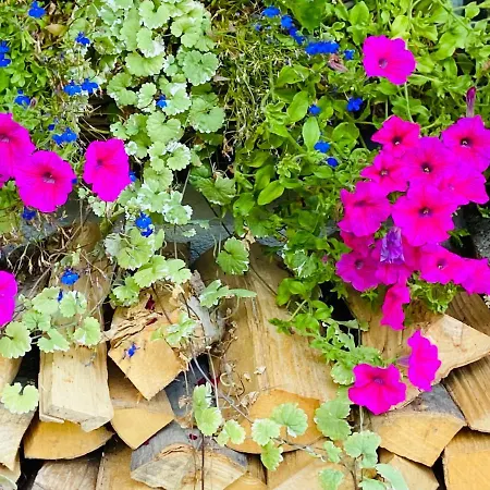 Zell By Alp Lux - In-out